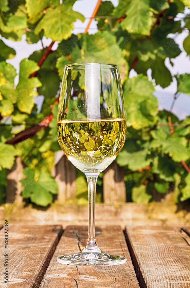 Glass of white wine on wooden table on backgrounds of grapes leaves in Heuriger (tavern in Eastern Austria, where a local winemaker serves his new wine). Glass of white wine on wooden table on backgrounds of grapes leaves in Heuriger (tavern in Eastern Austria, where a local winemaker serves his new wine).