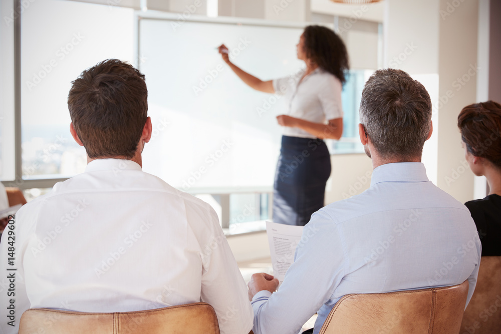 Obraz premium Businesswoman Making Presentation Shot Through Doorway