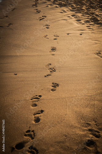 Obraz na płótnie Footprints on the sand, beach in the afternoon sun. Find your path w salonie