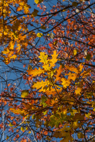 indian summer in germany