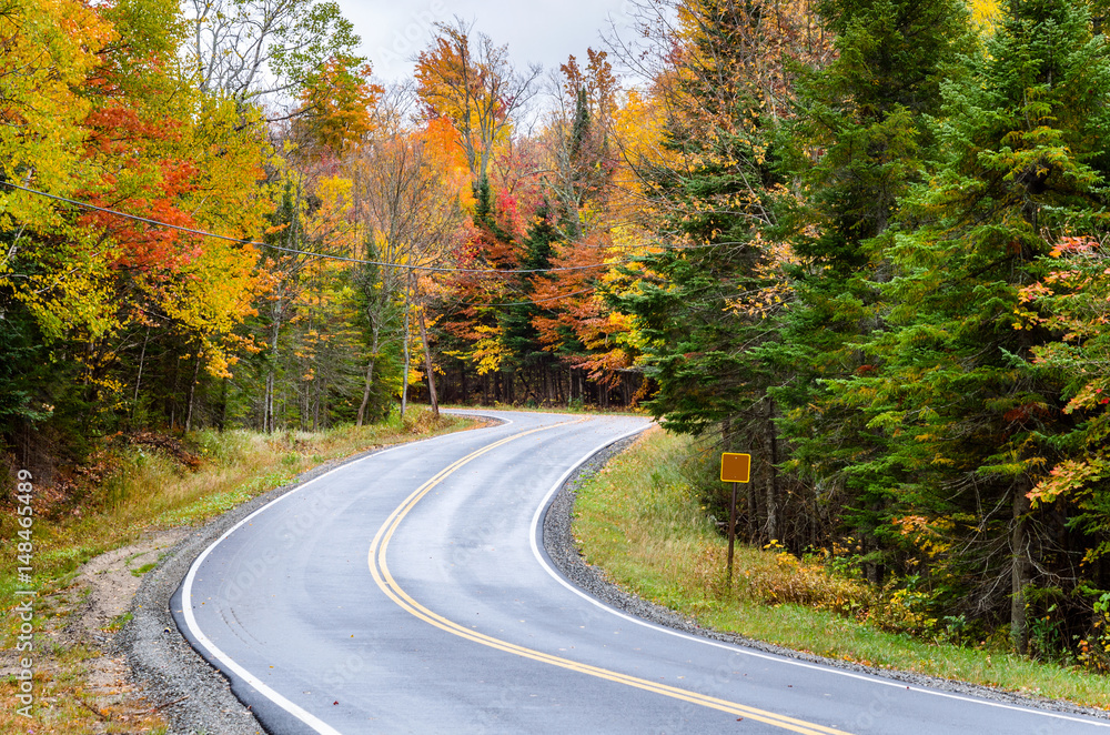 Winding Mountain Road Through a Forest in Autumn. Gorgeous Fall Colors. Winding Mountain Road Through a Forest in Autumn. Gorgeous Fall Colors.
