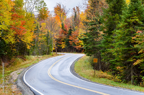 Winding Mountain Road Through a Forest in Autumn. Gorgeous Fall Colors.