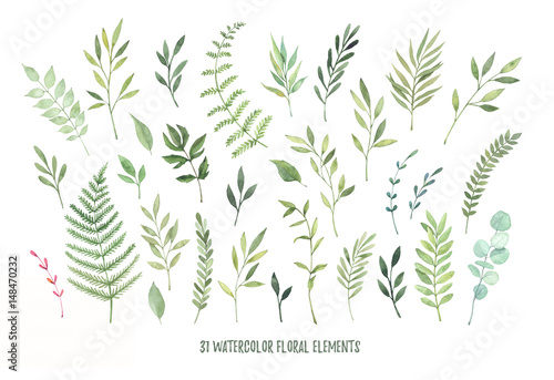 Hand drawn watercolor illustrations. Botanical clipart   leaves  flowers  swirls  herbs  branches . Floral Design elements. Perfect for wedding invitations  greeting cards  blogs  posters and more