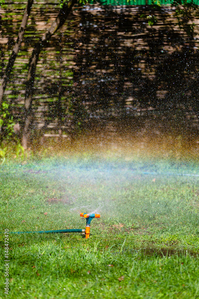 Garden sprinkler watering grass Garden sprinkler watering grass