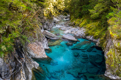 Blue River at Blue Pools track in the South Island of New Zealand. Blue pool track is a short walk from State Highway 6, Haast Pass