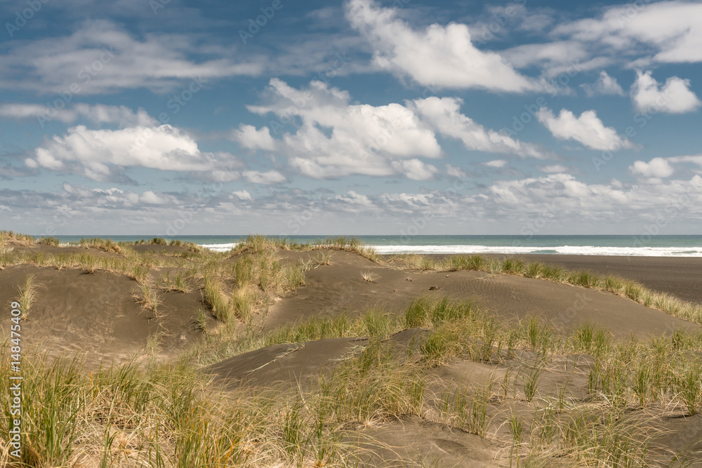 Auckland, New Zealand - March 2, 2017: Dark sand dunes with beachgrass, marram, under blue sky with white clouds at Karakare Beach. Tasman Sea and surf separates two halves.