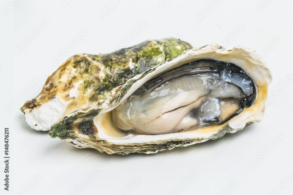 Oysters Oysters