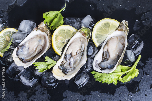 Photography Oysters