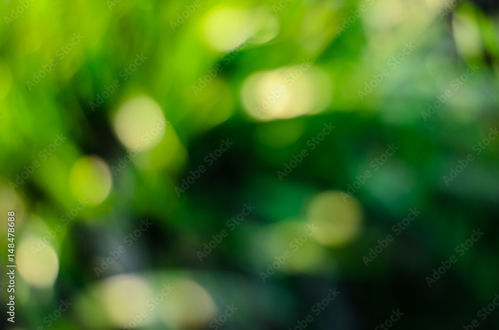 Abstract and blurred green background Abstract and blurred green background