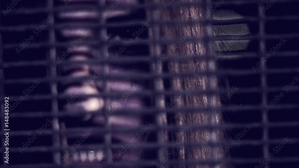 Angry female vampire behind bars slow motion closeup Angry female vampire behind bars slow motion closeup