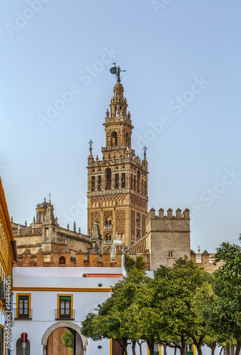 Seville Cathedral, Spain © borisb17
