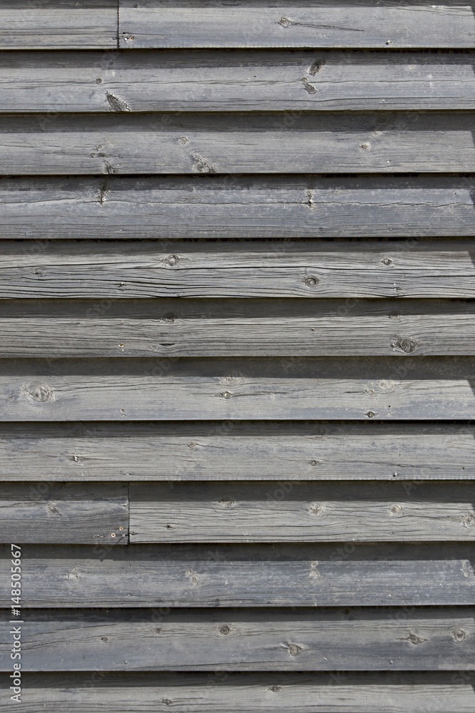 Obraz premium Horizontal wood