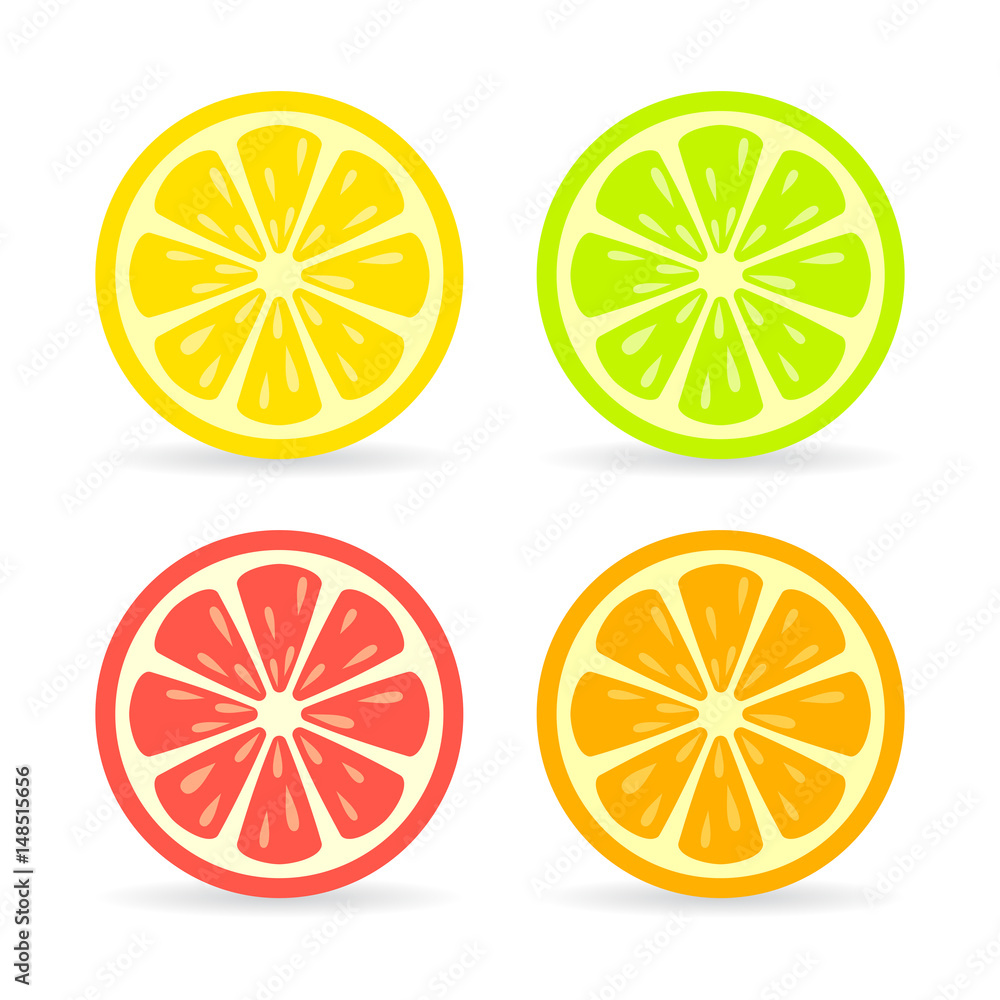 Citrus fruit slice vector icon Citrus fruit slice vector icon