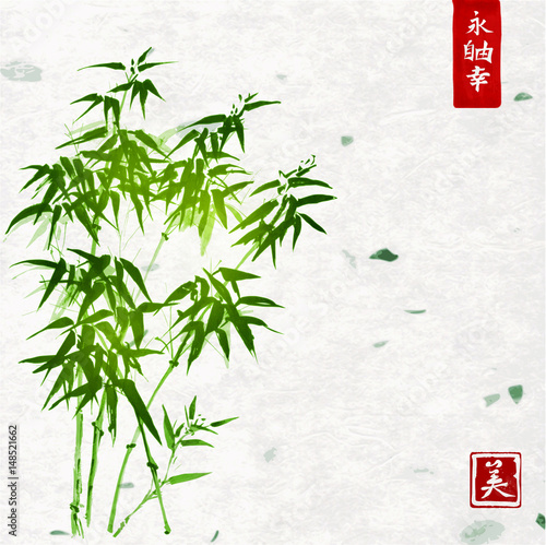 Green bamboo on handmade rice paper background. Traditional oriental ink painting sumi-e, u-sin, go-hua. Contains hieroglyphs - eternity, freedom, happiness, beauty