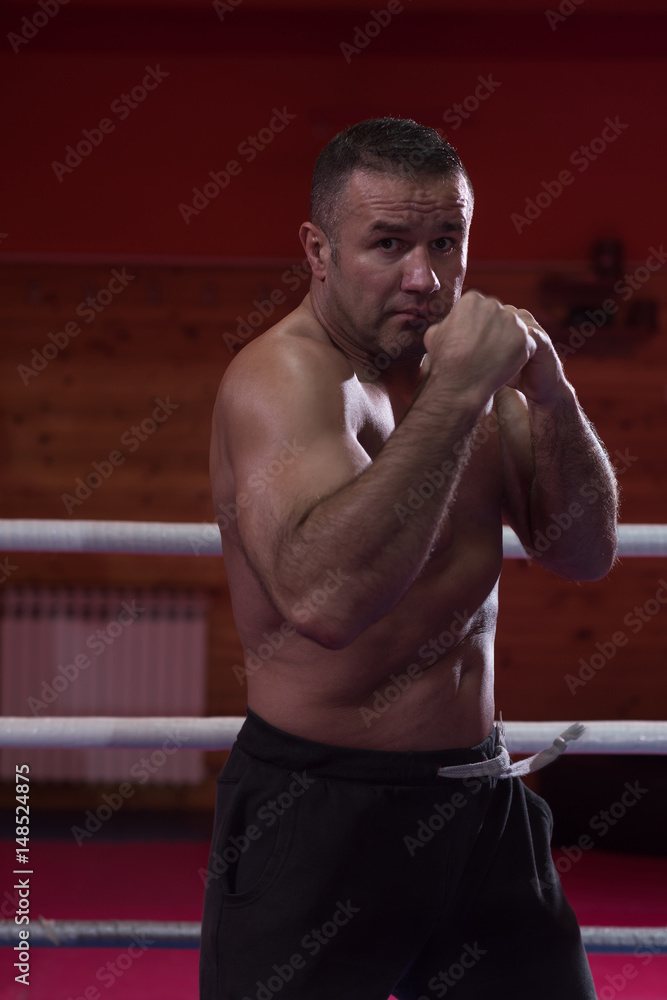 professional kickboxer in the training ring professional kickboxer in the training ring