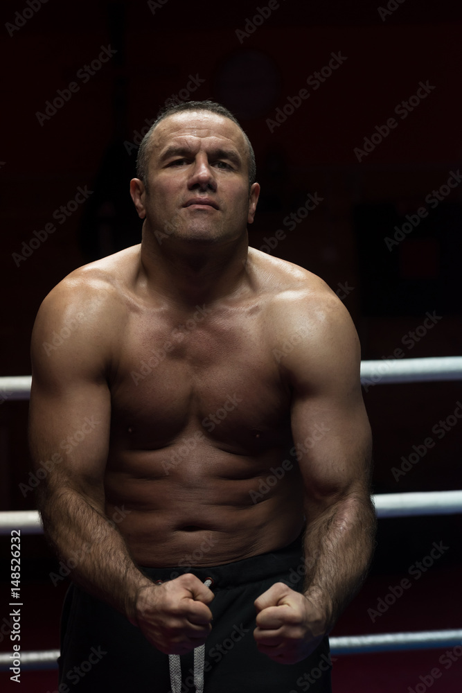 professional kickboxer in the training ring professional kickboxer in the training ring