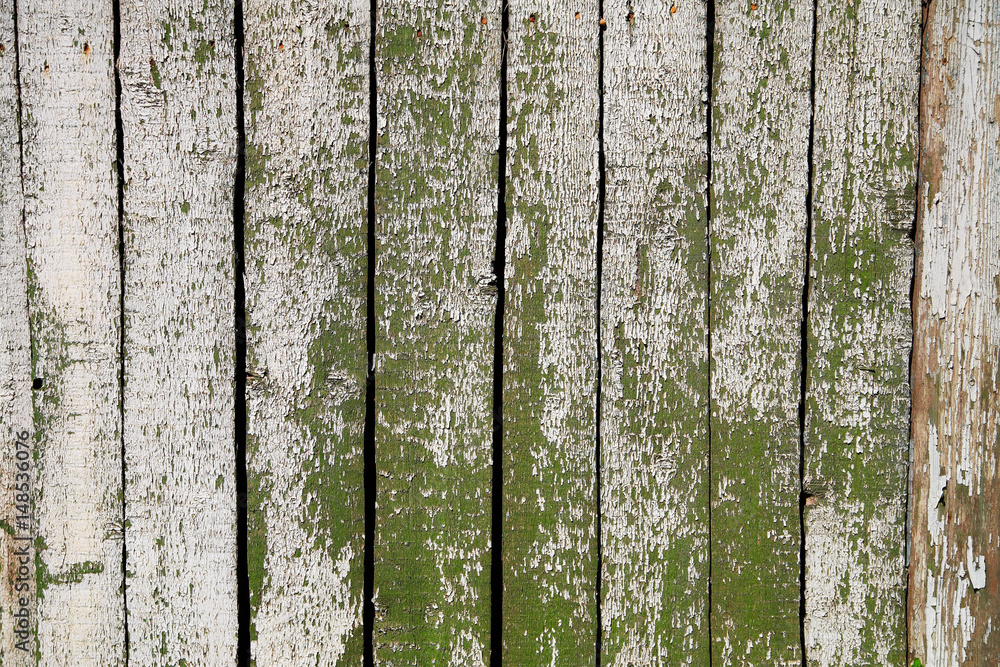 Obraz premium Old wooden background