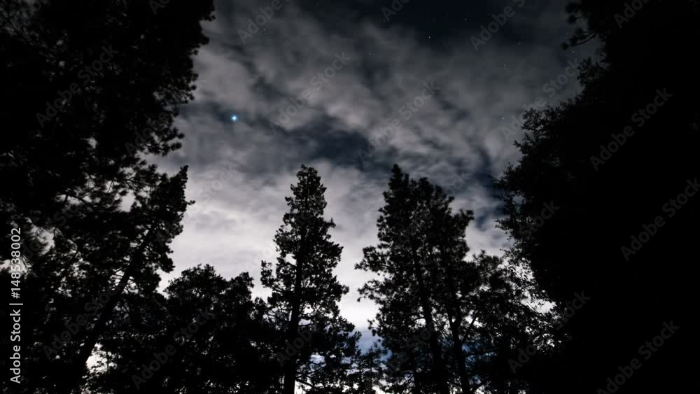 Stars in Alpine Forest 04 Time Lapse Clouds Stars in Alpine Forest 04 Time Lapse Clouds