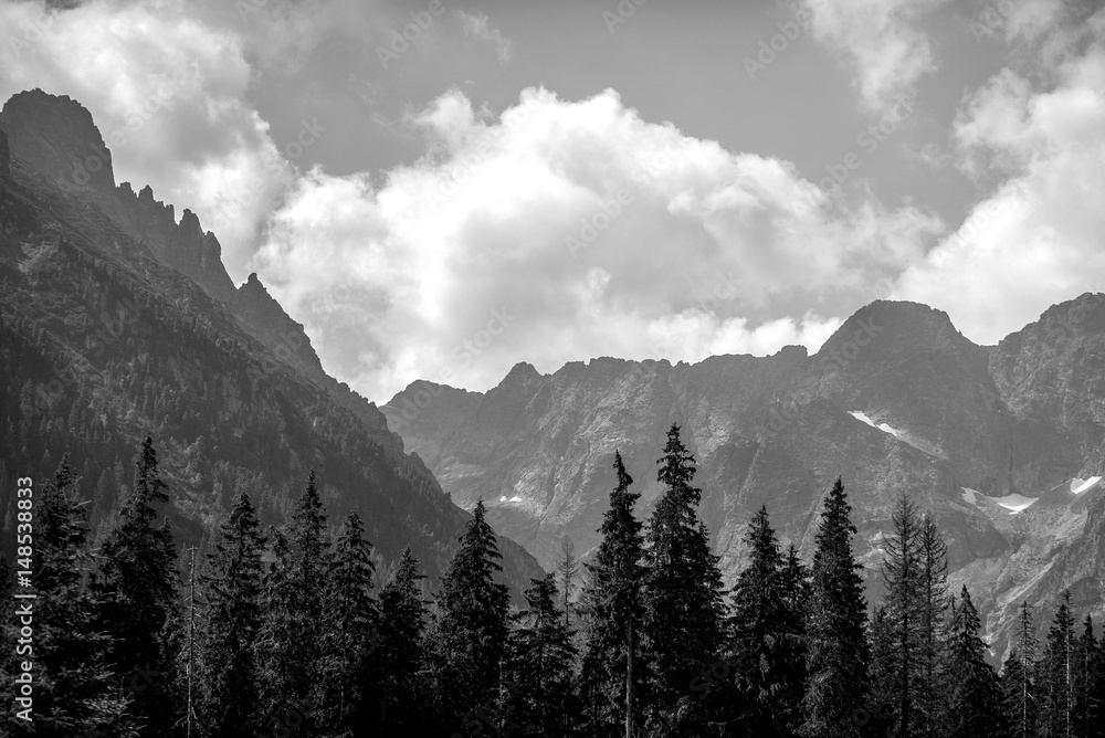 View of Mountain Peaks in Summer Time. High Tatras (Black & White)