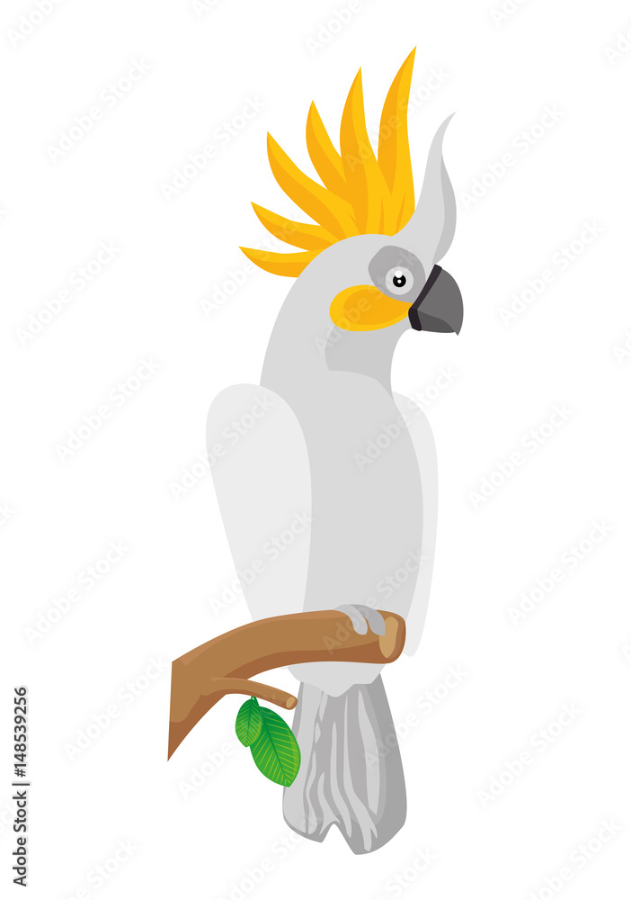 Obraz premium parrot tropical bird icon vector illustration design