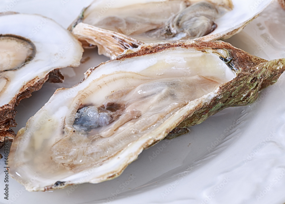 Fresh oysters on the half shell. Fresh oysters on the half shell.