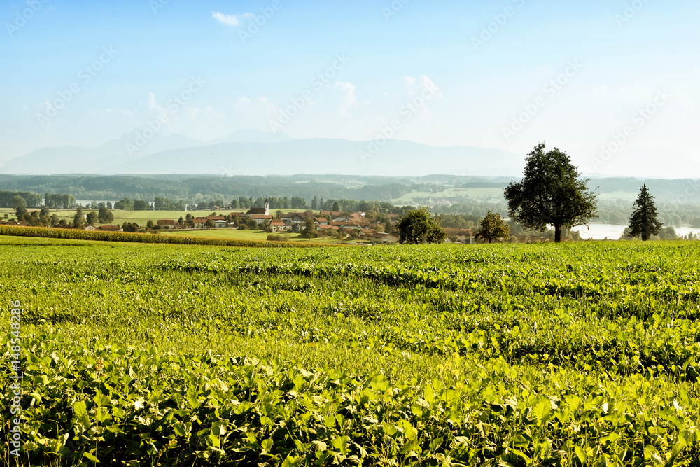 Voralpenlandschaft - Waginger See Voralpenlandschaft - Waginger See