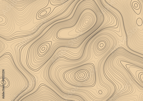Wavy bold and dotted lines randomly arranged in topographic map style. Pattern in light brown woody colors. Texture for documents, textile, wrap or wallpaper.