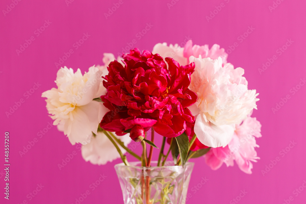 peony in the vase peony in the vase