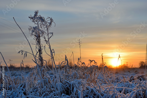 Golden sunset in the winter photo