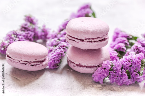spring design in pastel color with macaroons and purple flowers