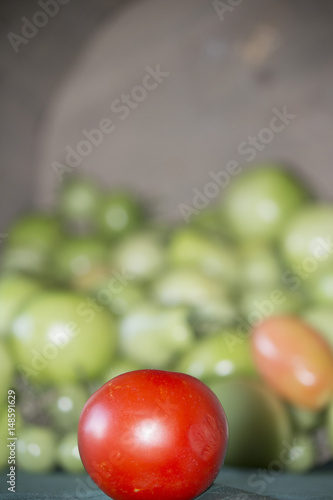 Tomatoes