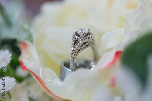 Bride and Groom Wedding Rings photo