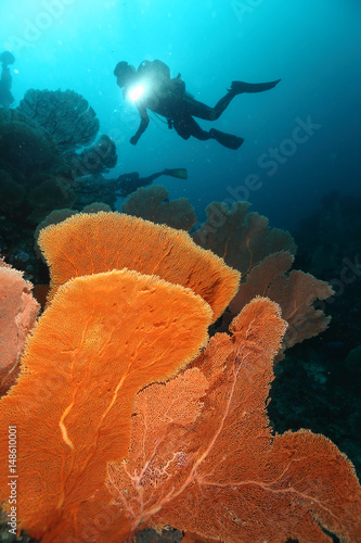 Scuba Divers swimming over the big gorgonian. Batee Tokong . Pulau Weh , Indonesia photo