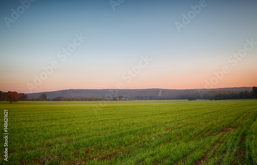 Green field at noon