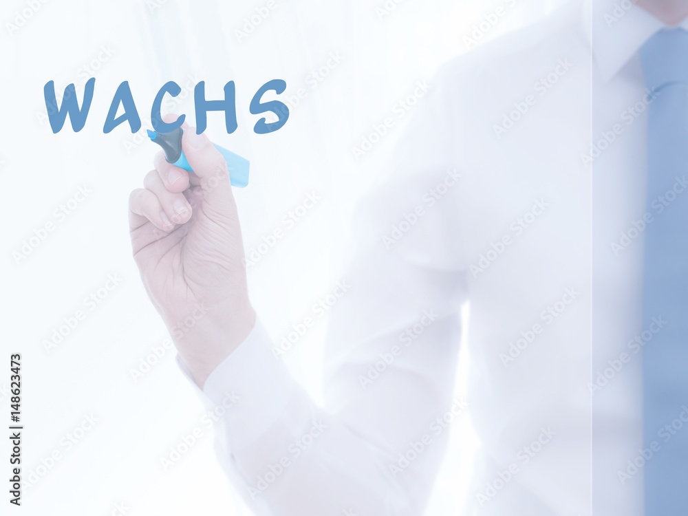 Wachs Wachs