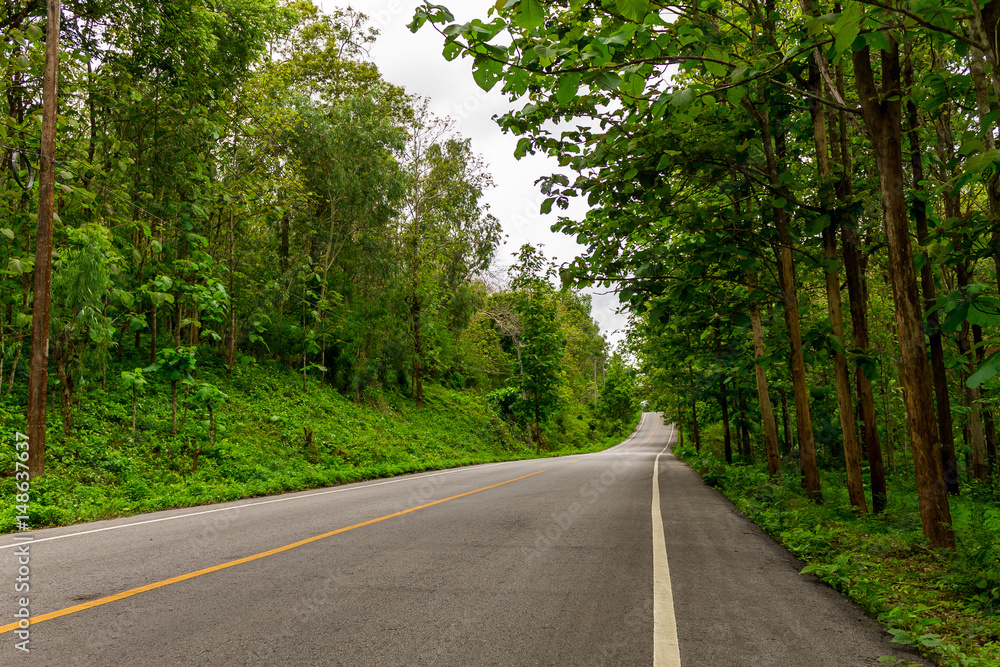 Serpentine road Serpentine road