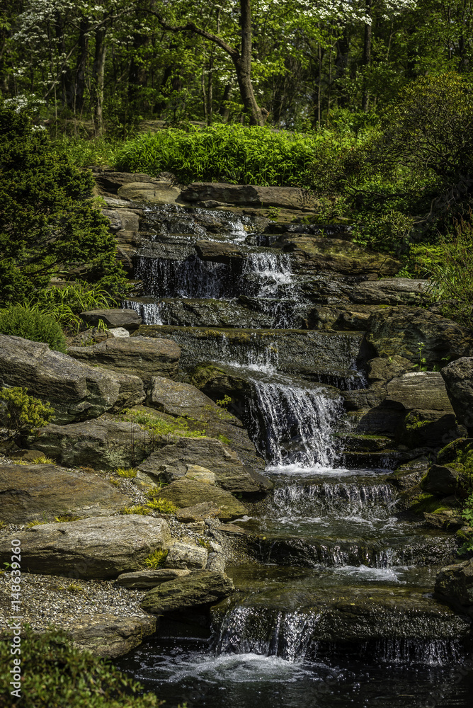 Fototapeta premium From the Botanical Garden