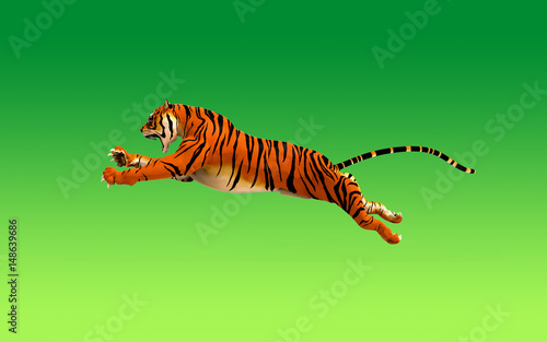 Fototapeta Naklejka Na Ścianę i Meble -  A tiger moving and jumping on green background, 3d illustration