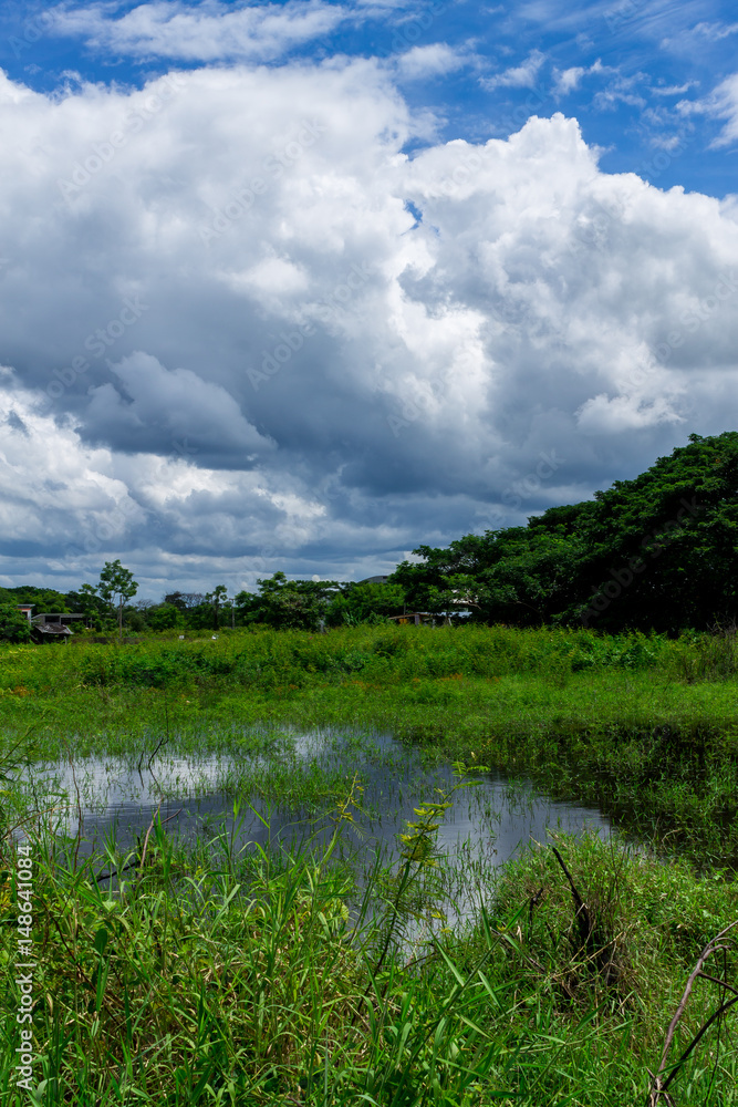Ecology system Ecology system