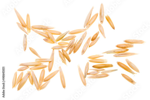 Corn oats on a white background