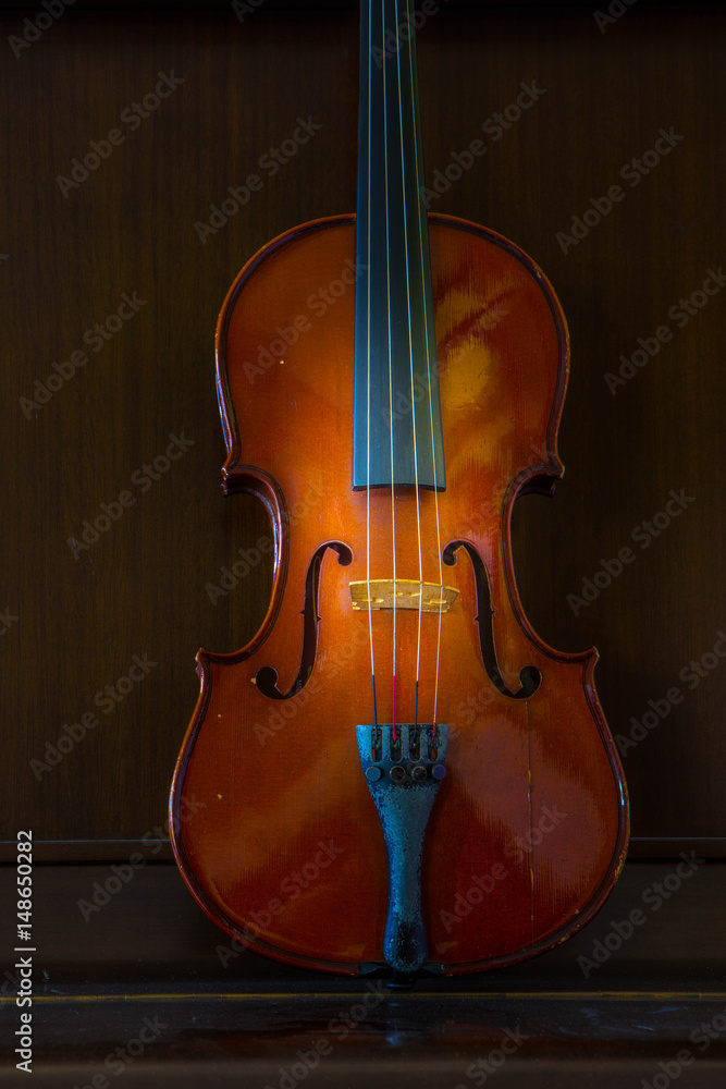 Violin music instrument of orchestra Violin music instrument of orchestra
