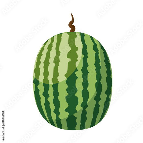 watermelon fresh and healthy fruit vector illustration design