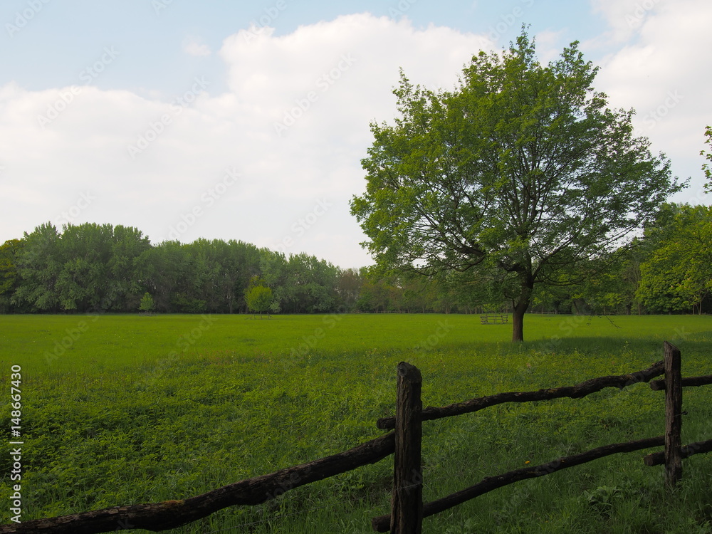 Outdoors photo of national park nature and tree Outdoors photo of national park nature and tree
