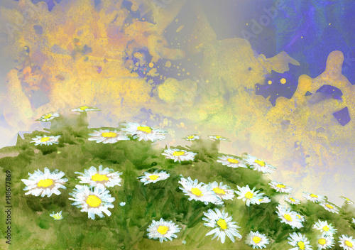 Hand drawn cartoon illustration of a beautiful camomile flower meadow