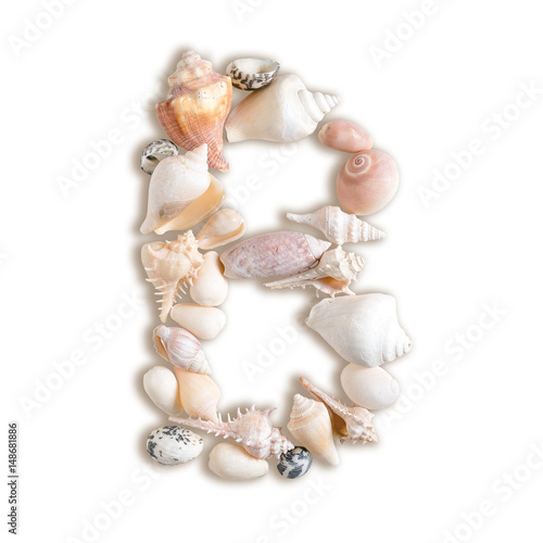 various sea shells capital B on isolated white background