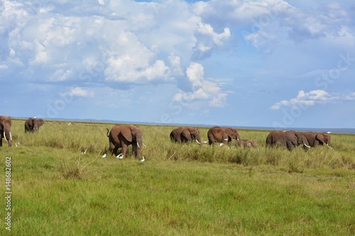 Kenia Safari © Marcel