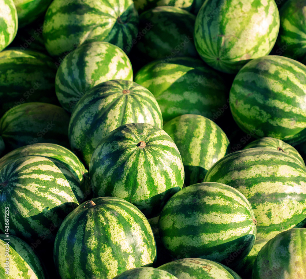 Many big watermelons closeup