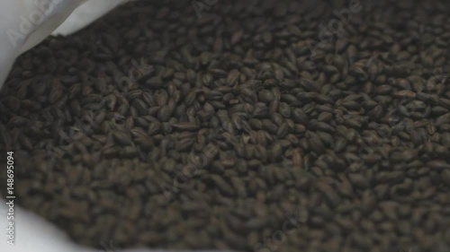 Malt Toasted