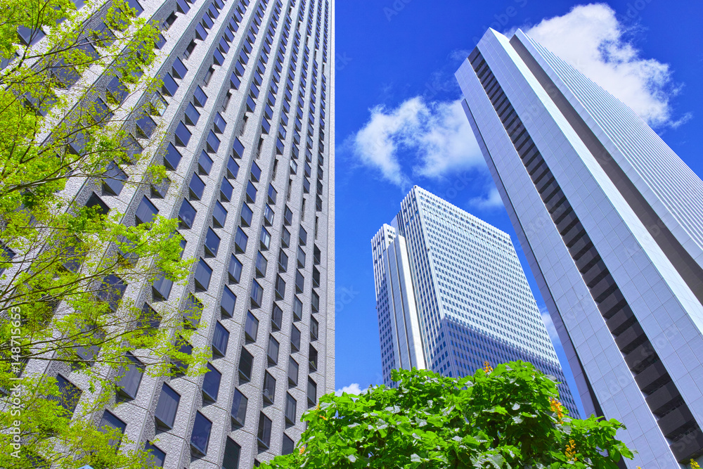 Obraz premium 新緑の新宿高層ビル街