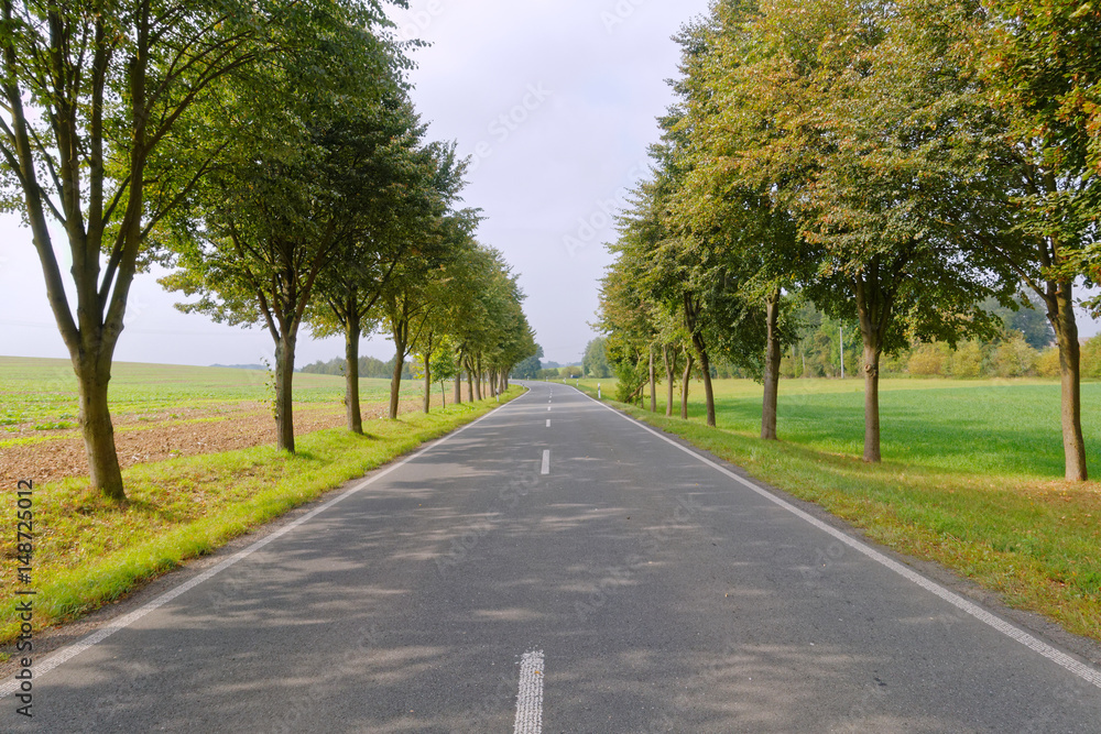 Fototapeta premium straight road in the countryside